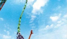 最新爆料蹦极游戏视频,揭秘最新蹦极游戏惊险瞬间